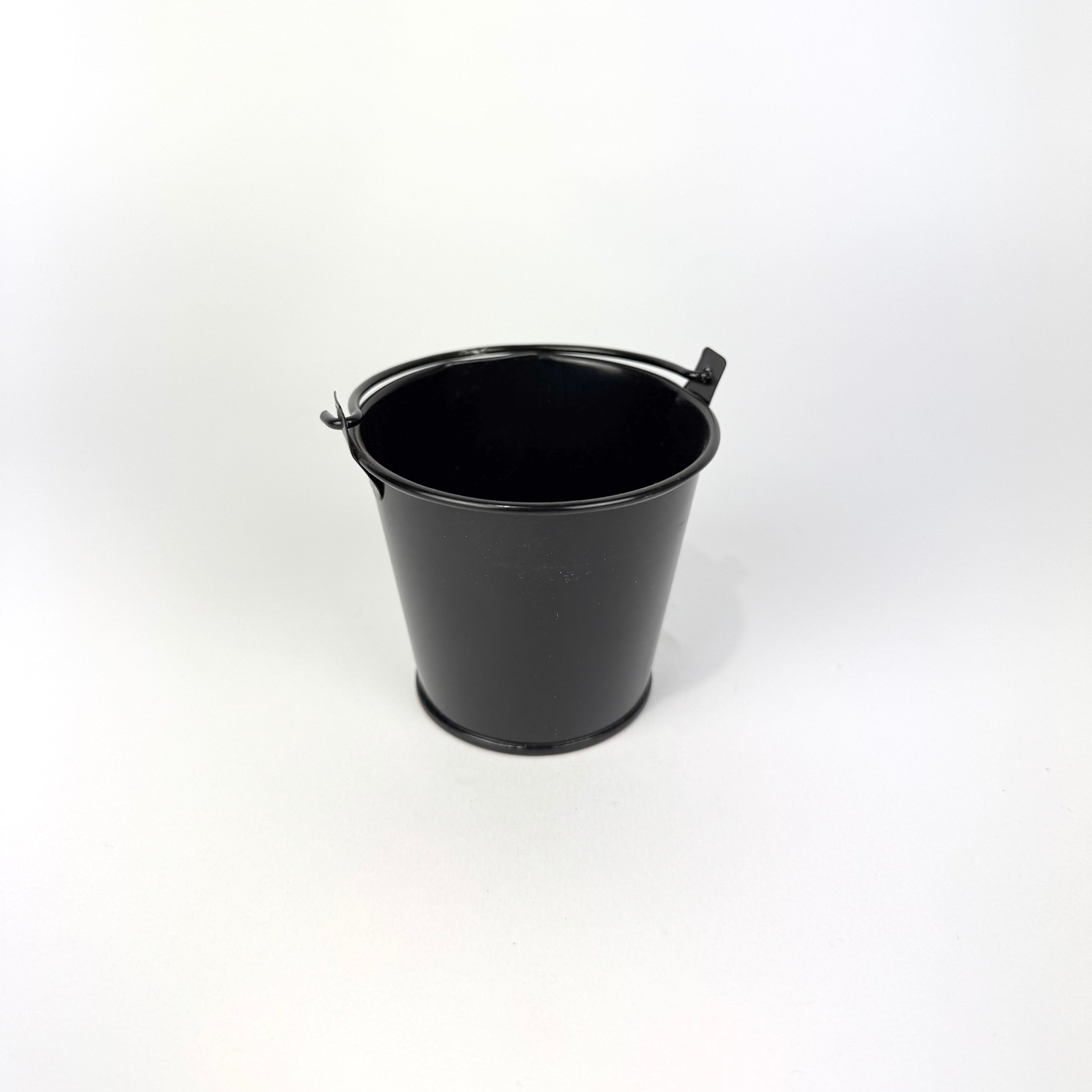 Desk Buddy Plant & Pot Bundle