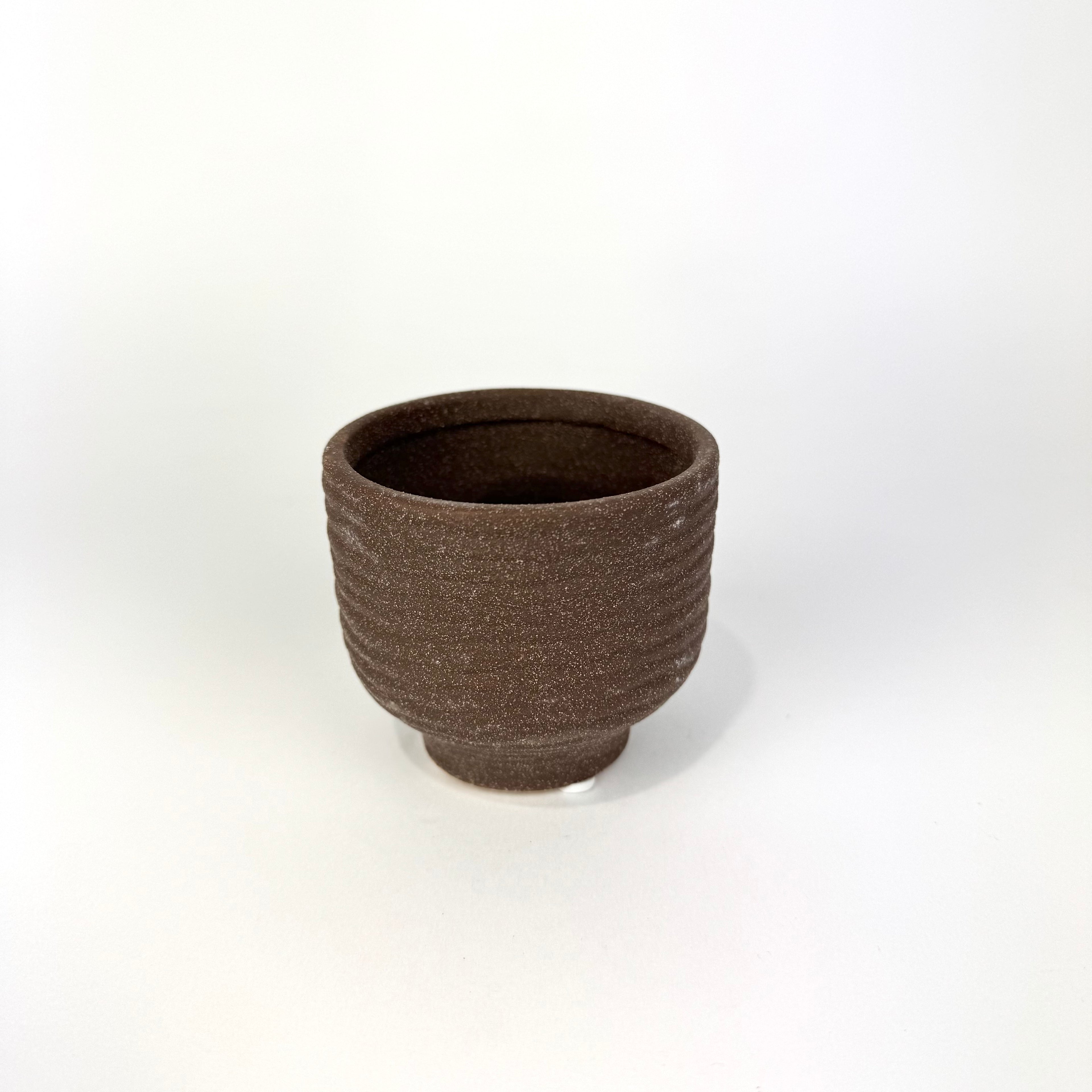 Desk Buddy Plant & Pot Bundle