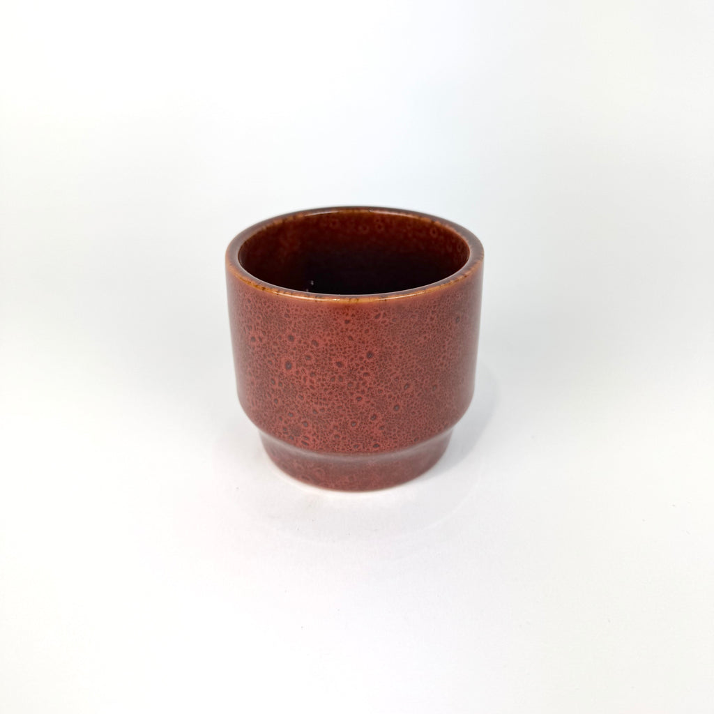 Desk Buddy Plant & Pot Bundle