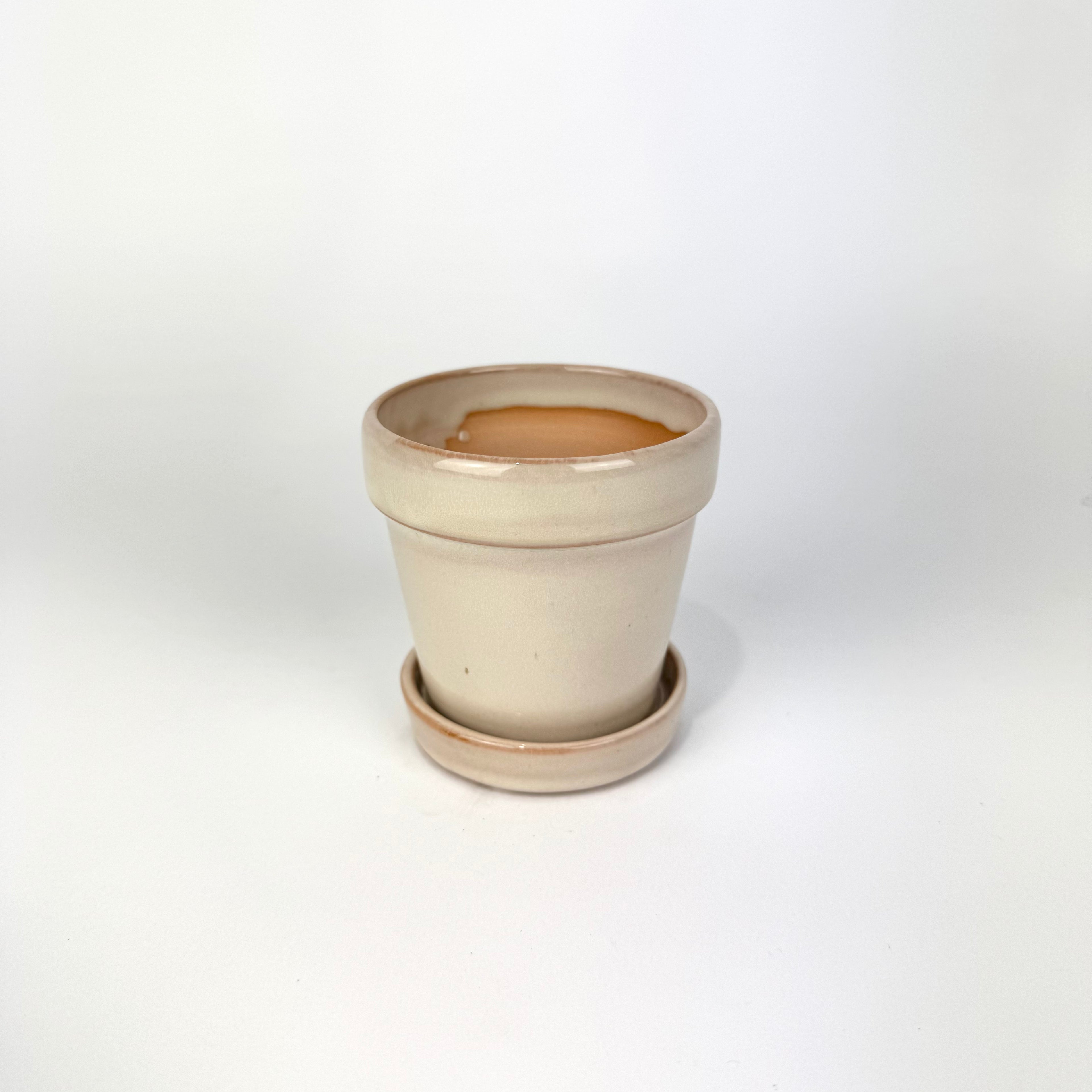 Desk Buddy Plant & Pot Bundle