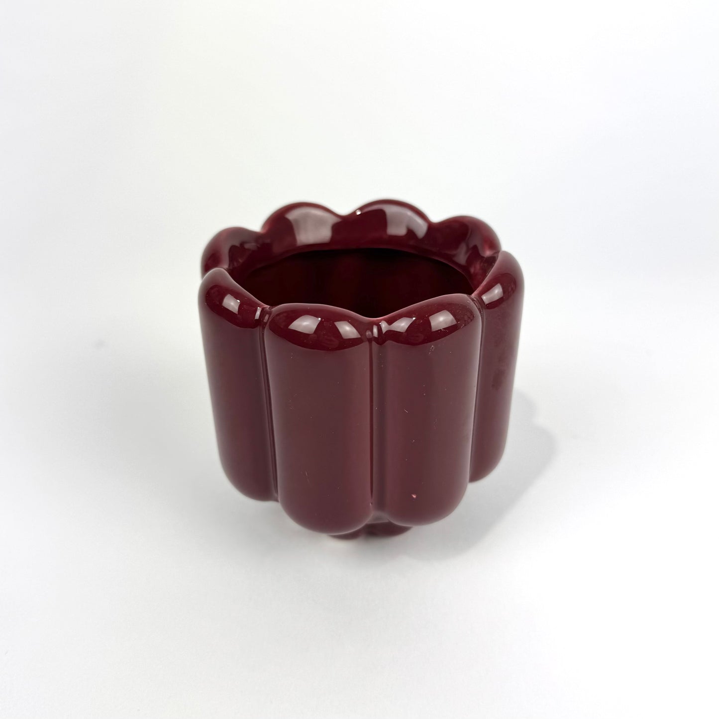 Desk Buddy Plant & Pot Bundle