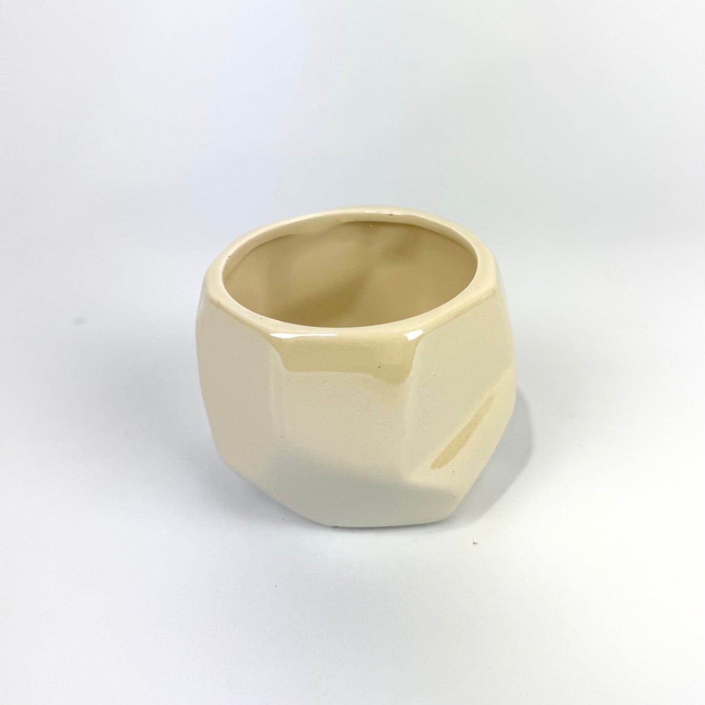 Desk Buddy Plant & Pot Bundle