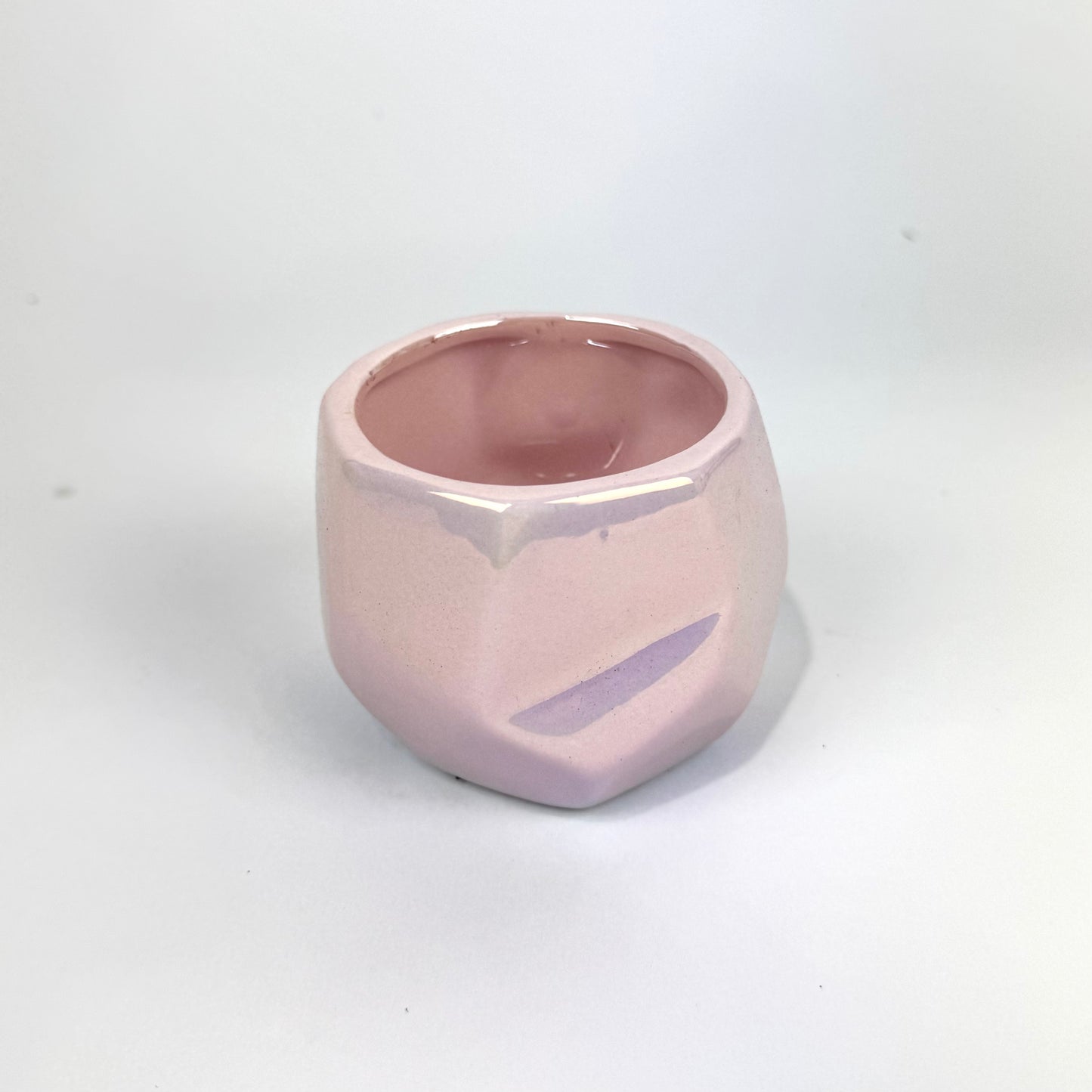 Desk Buddy Plant & Pot Bundle