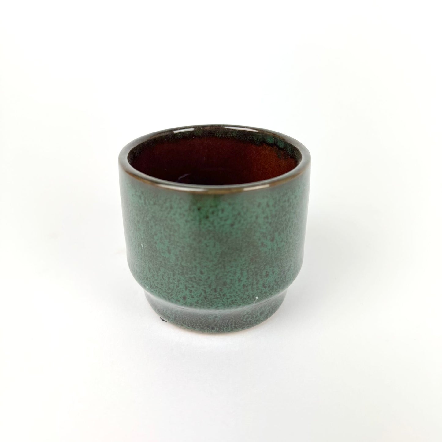 Desk Buddy Plant & Pot Bundle