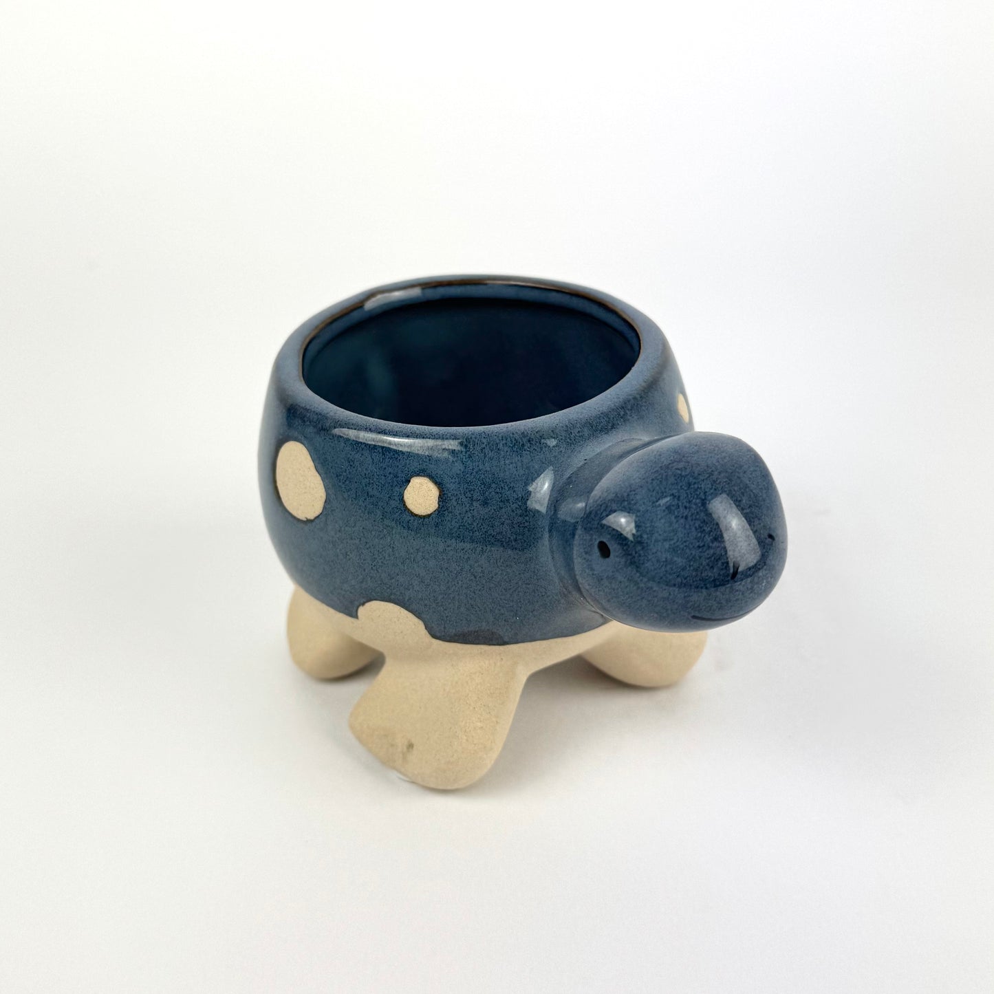 Desk Buddy Plant & Pot Bundle