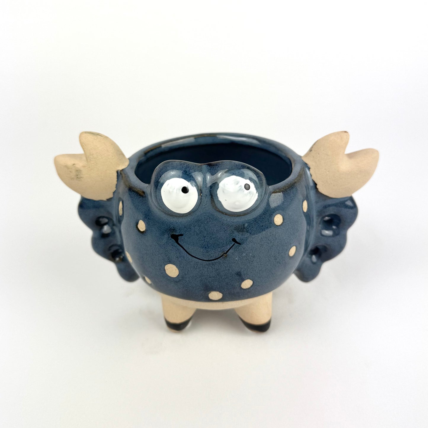 Desk Buddy Plant & Pot Bundle