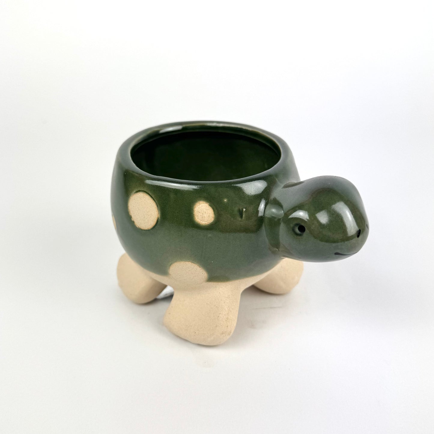 Desk Buddy Plant & Pot Bundle