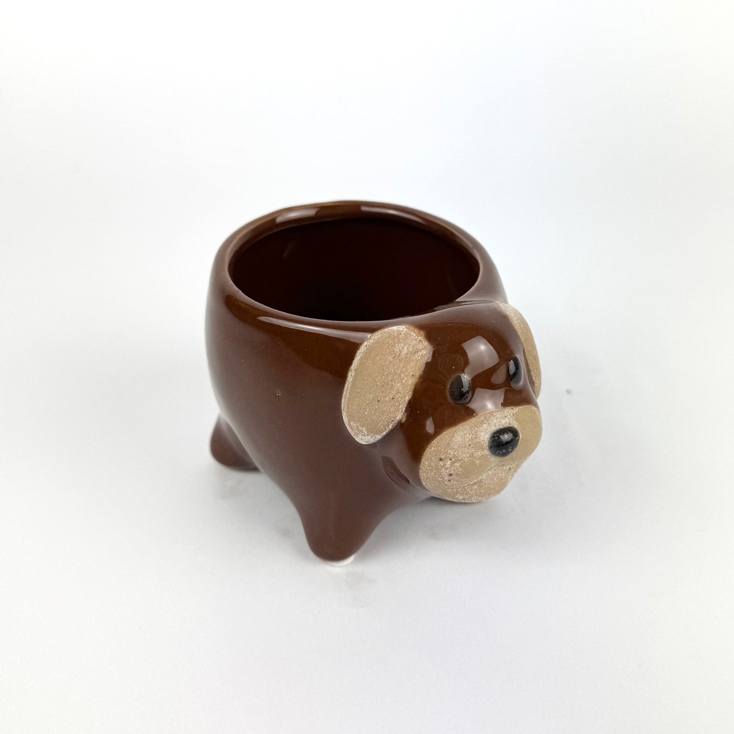 Desk Buddy Plant & Pot Bundle