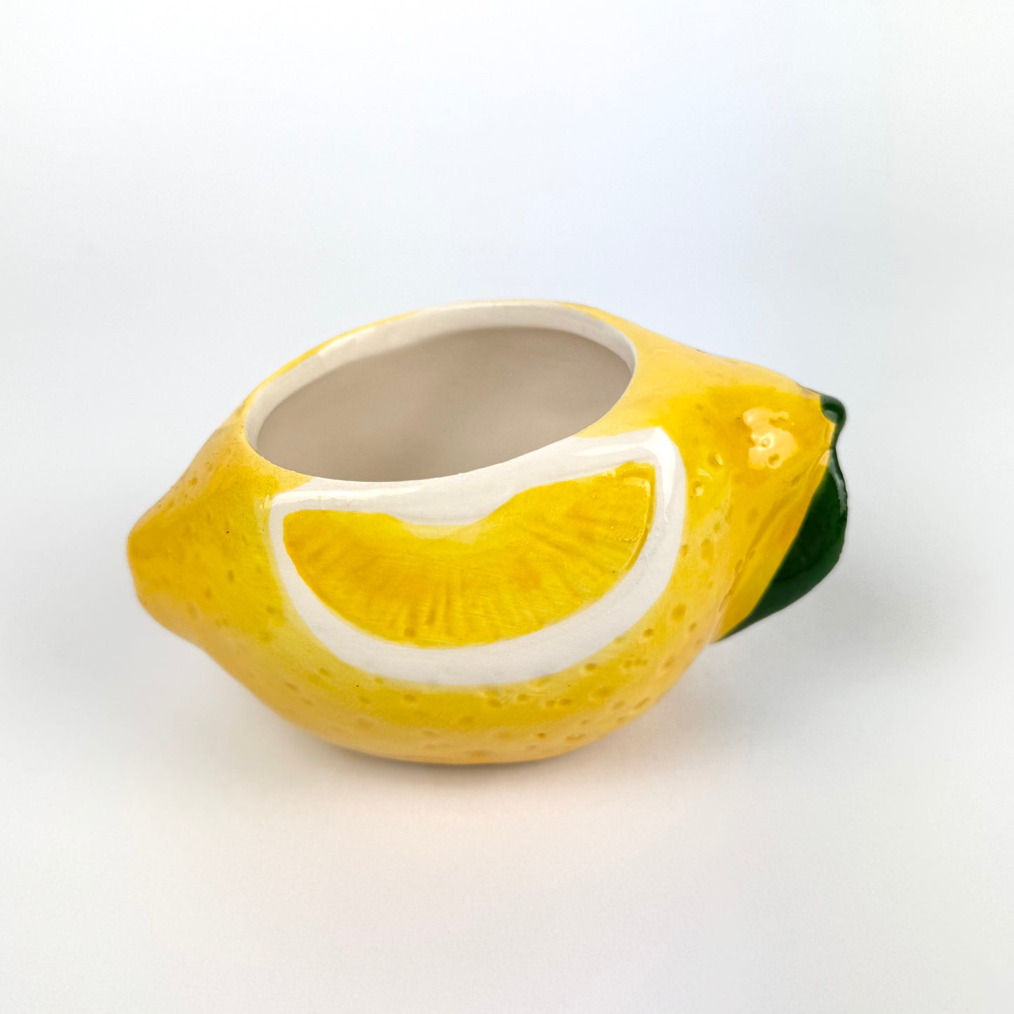 Desk Buddy Plant & Pot Bundle