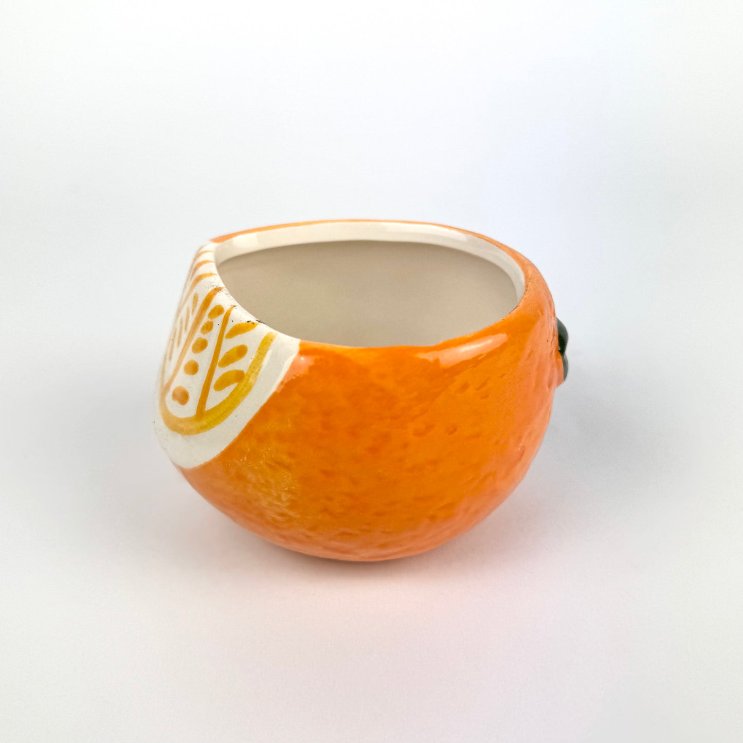 Desk Buddy Plant & Pot Bundle