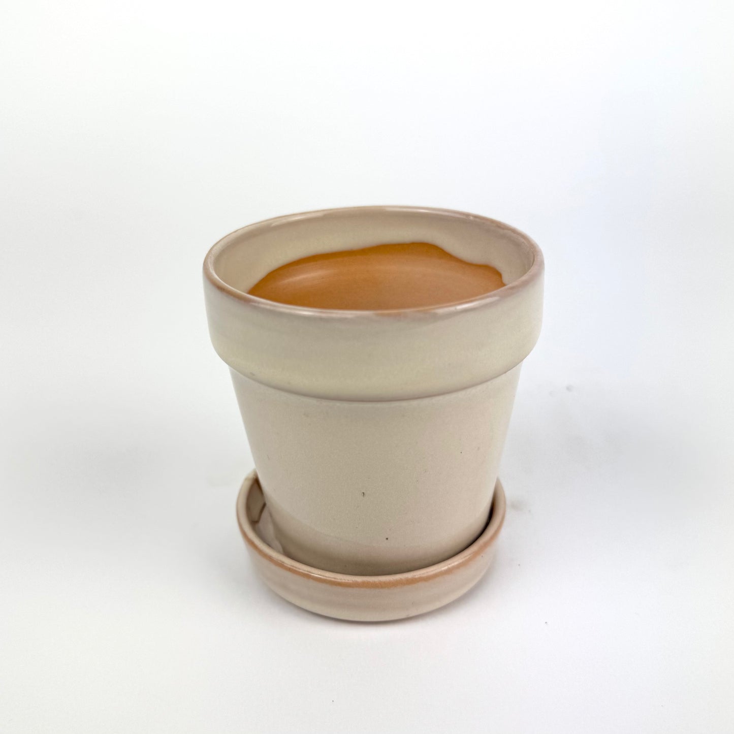 Desk Buddy Plant & Pot Bundle