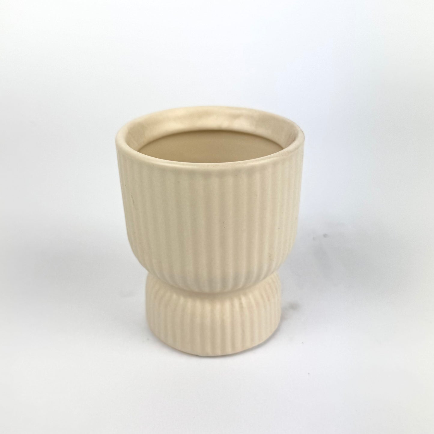 Desk Buddy Plant & Pot Bundle