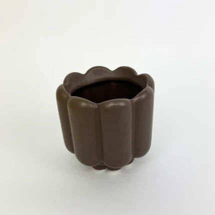 Desk Buddy Plant & Pot Bundle