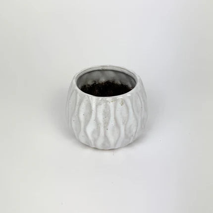 Mini 7cm Plant Pots Ceramic pots