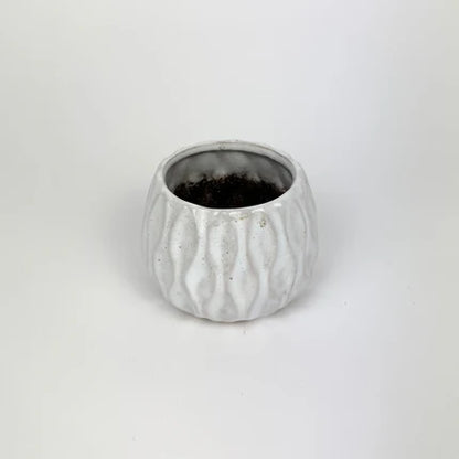 Mini 7cm Plant Pots Ceramic pots