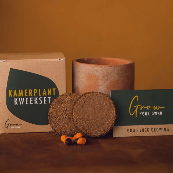 Grow Your Own Houseplants Box 24 x 1 pcs 8cm