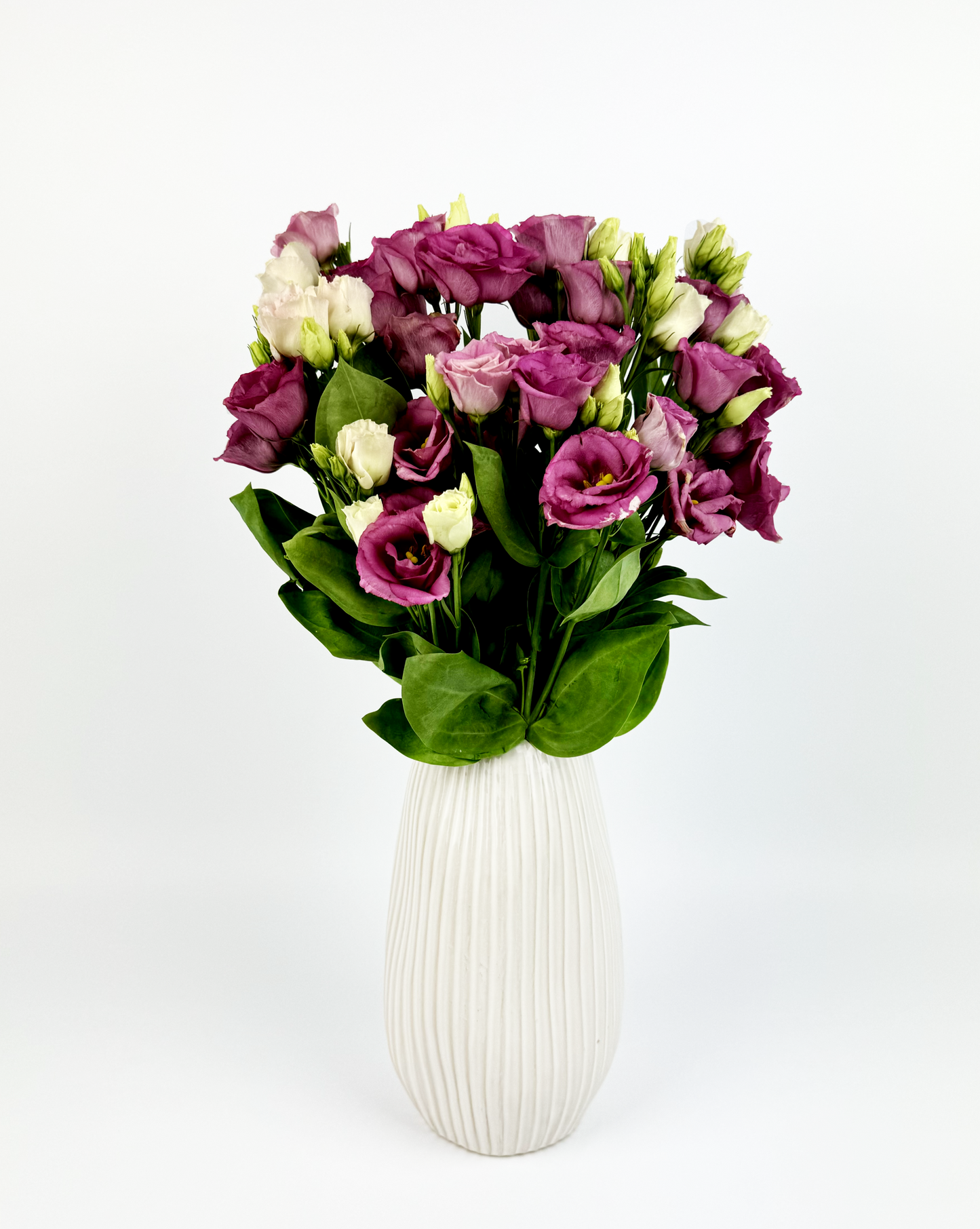 10 Pink Lisianthus