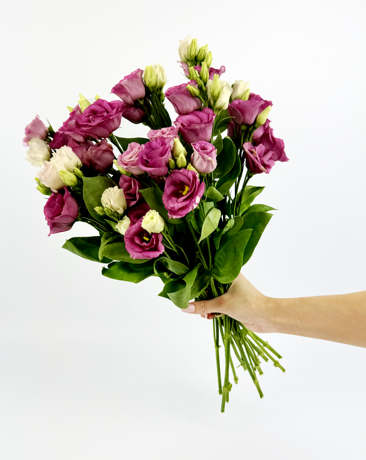 10 Pink Lisianthus