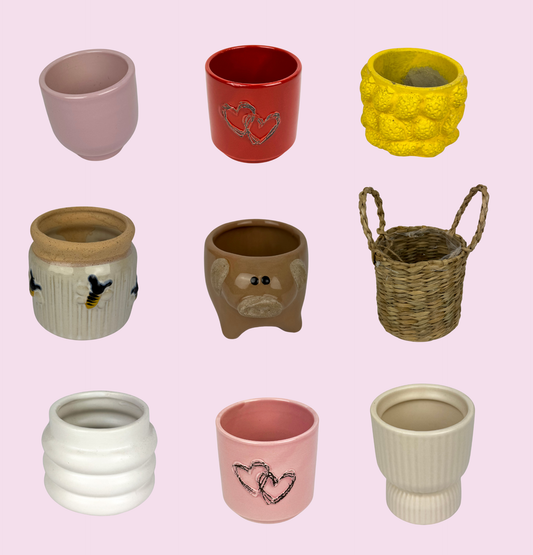 Mini 7cm Plant Pots Ceramic/ Non Ceramic Available