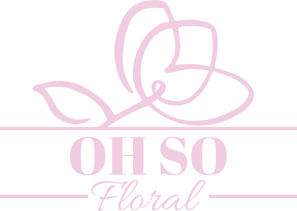 Desk Buddy Plant & Pot Bundle