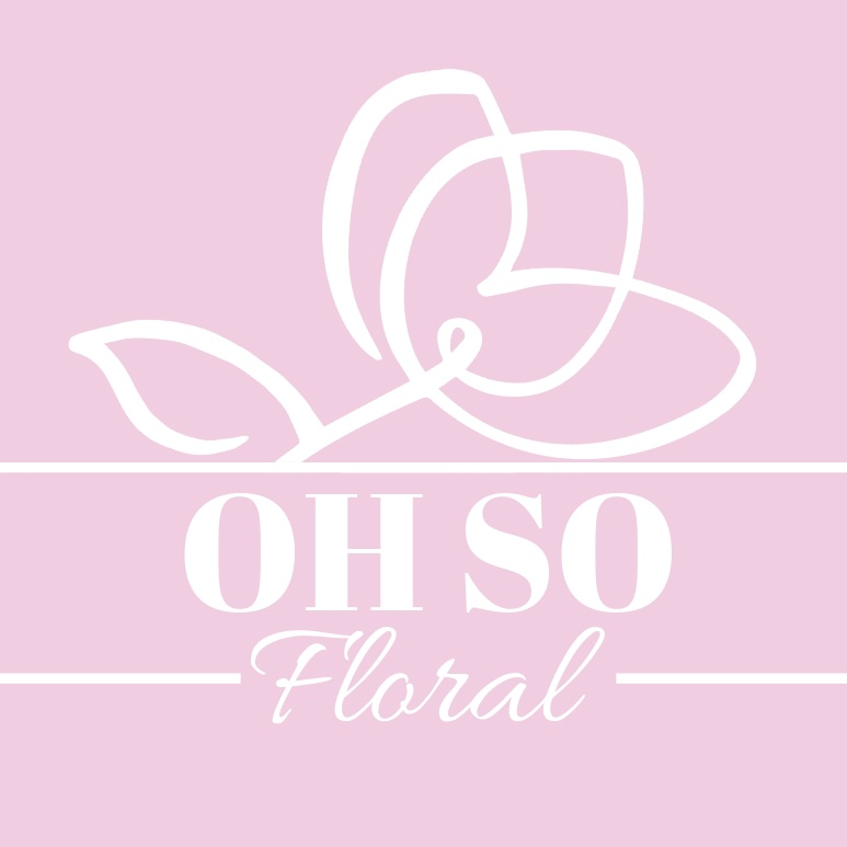 Discounted philodendron pink micans