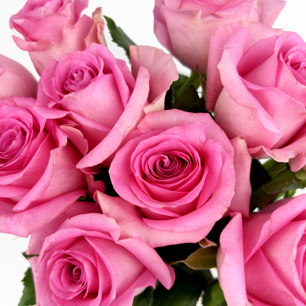 Sweet Admiration – 10 Pink Roses