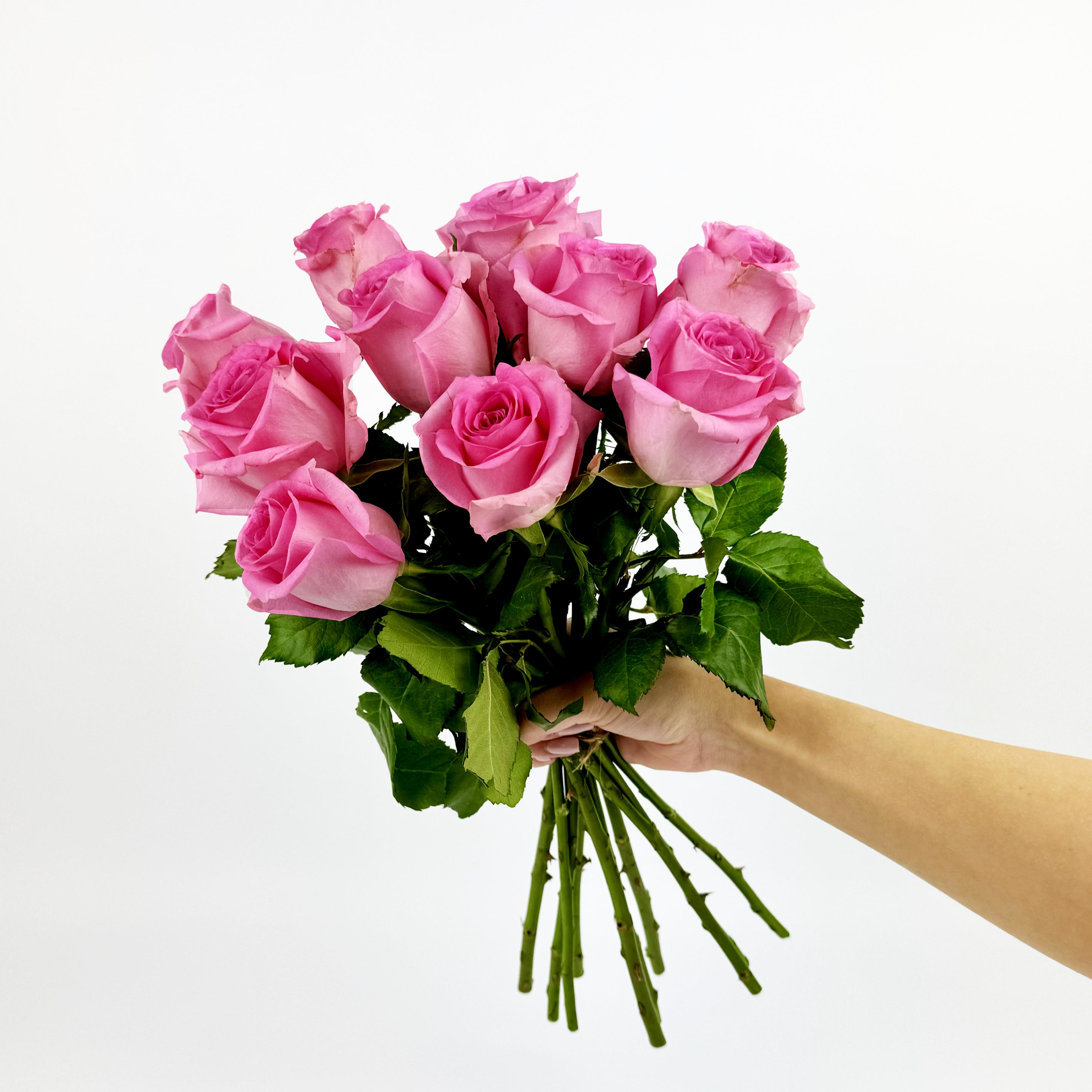 Sweet Admiration – 10 Pink Roses – OH SO Floral