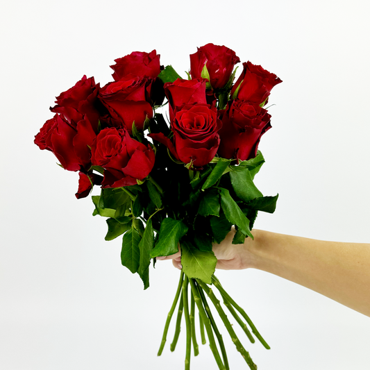 Classic Romance – 10 Red Roses