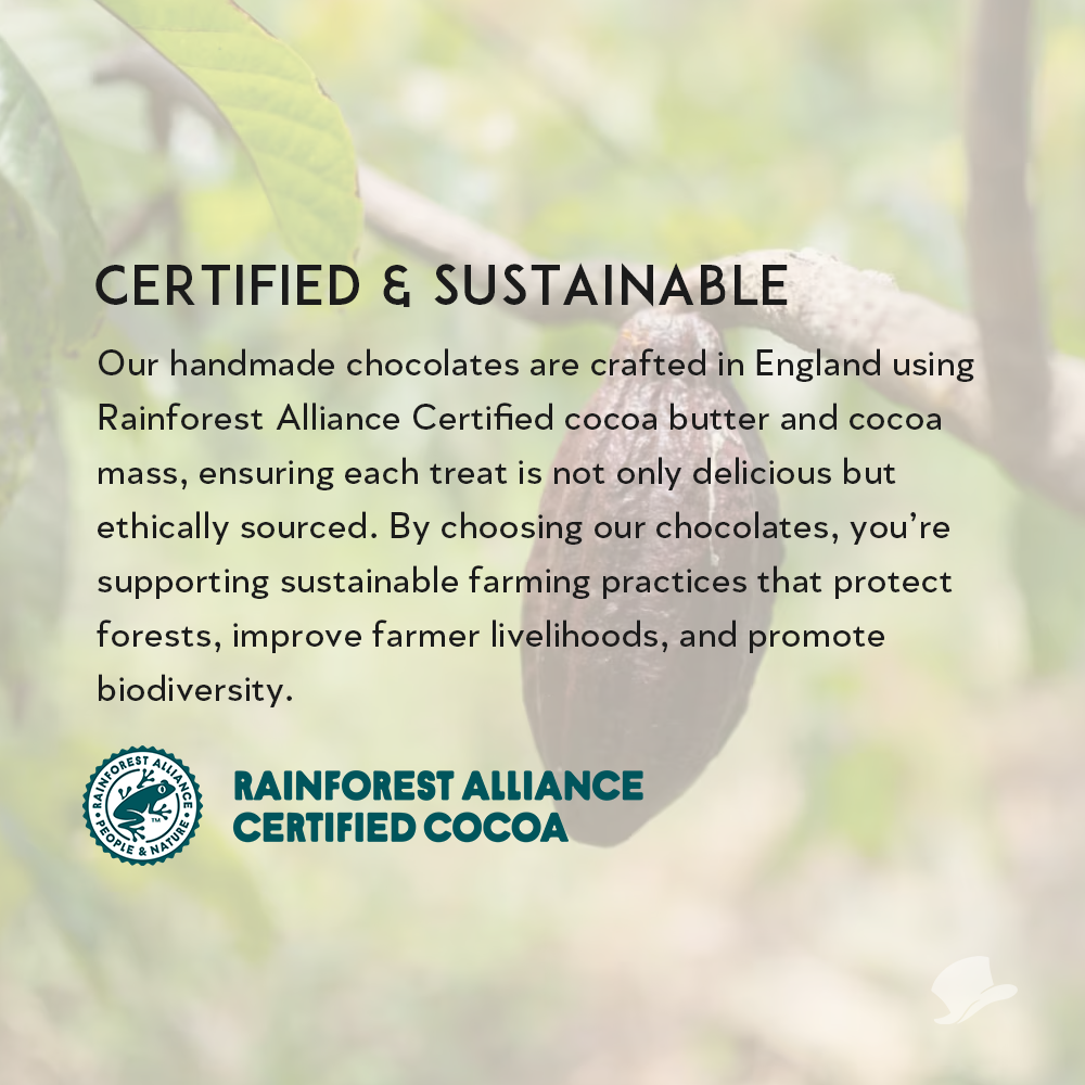 Mayfair Chocolatier's Gourmet Selection - 16 Handmade Chocolate Truffles