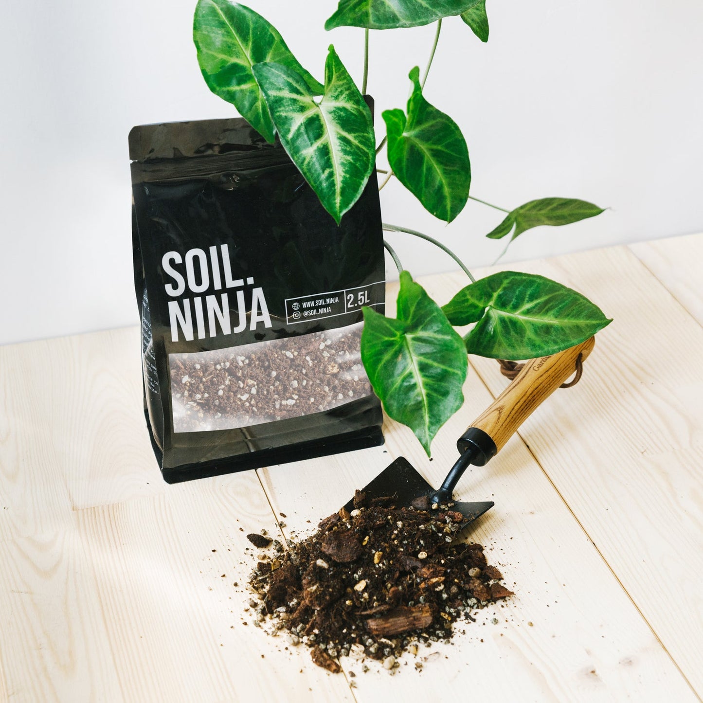 Syngonium - Soil Ninja 2.5L