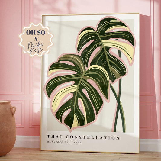 Monstera Thai Constellation Print