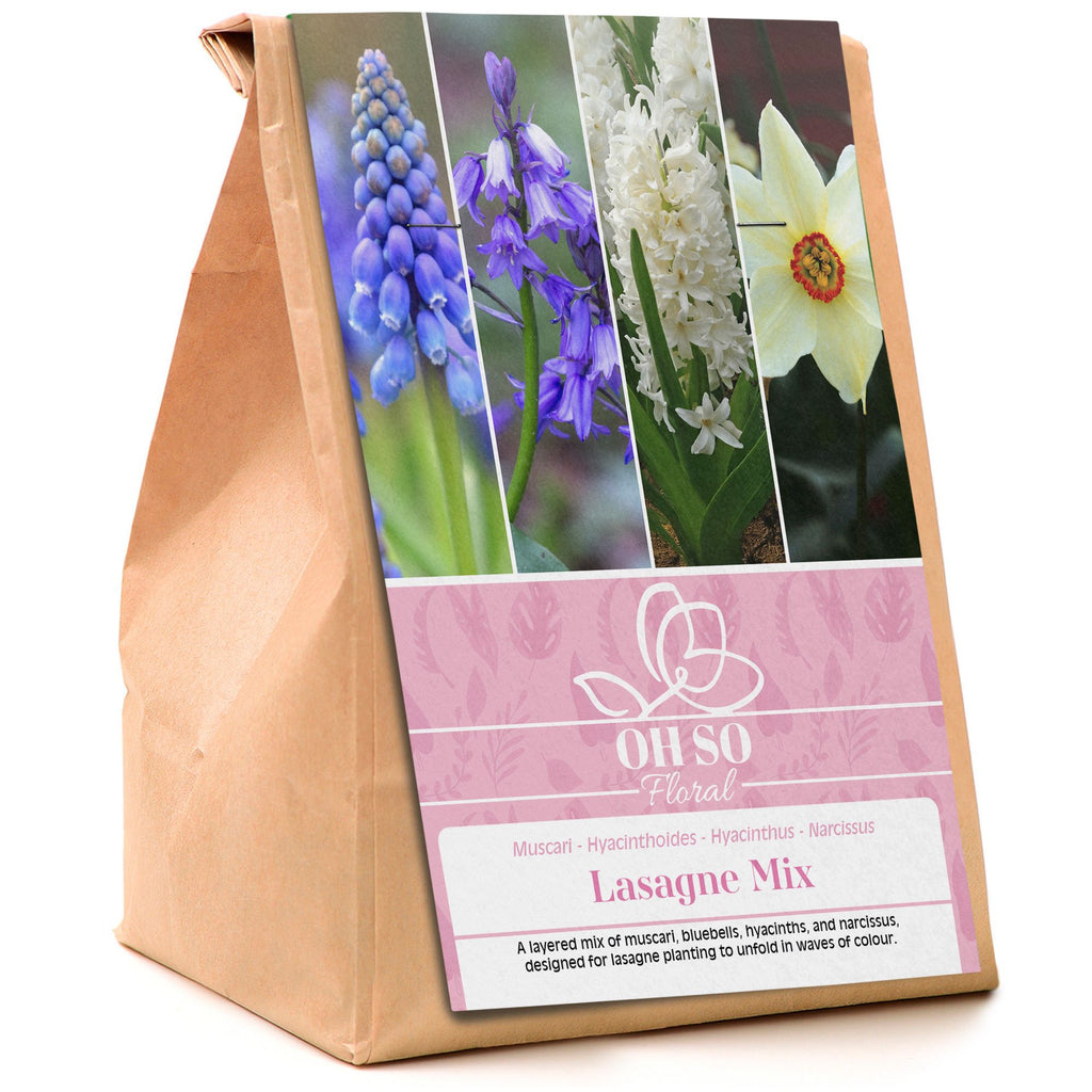 Garden Spring Flowering Bulbs