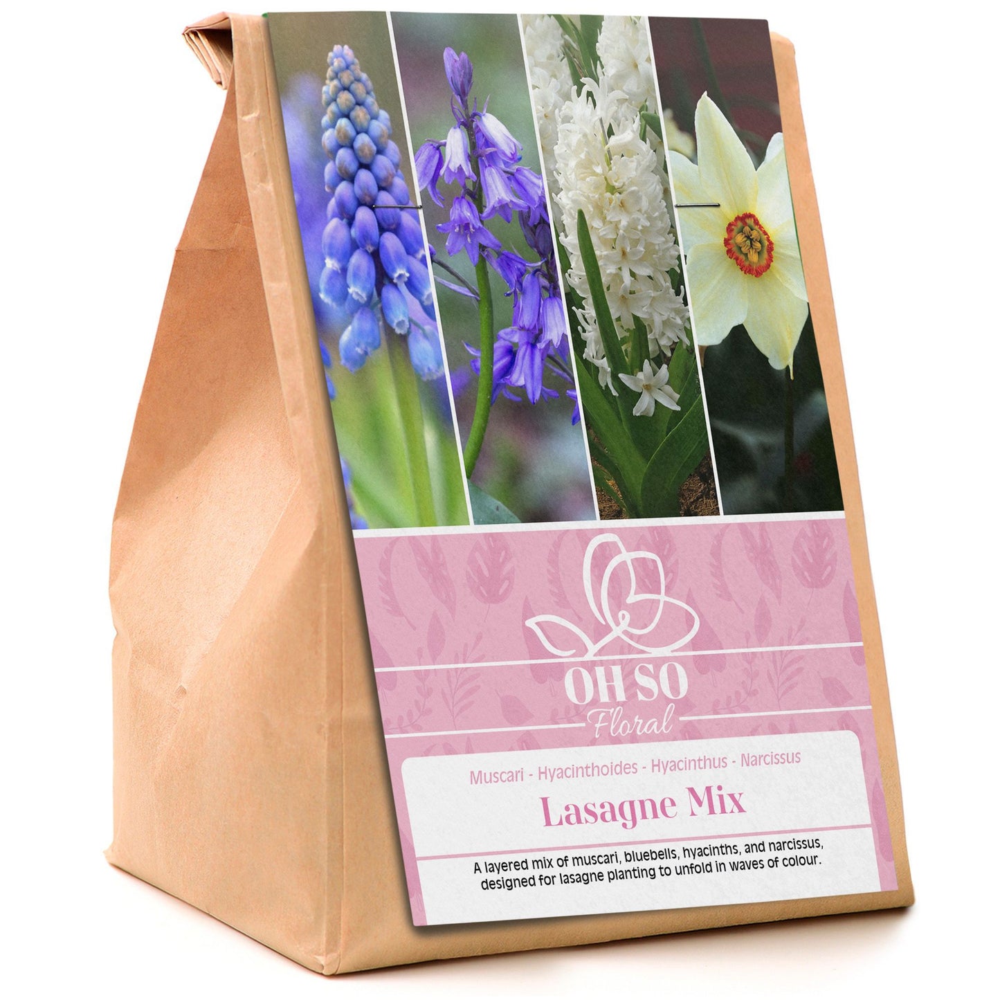 Garden Spring Flowering Bulbs