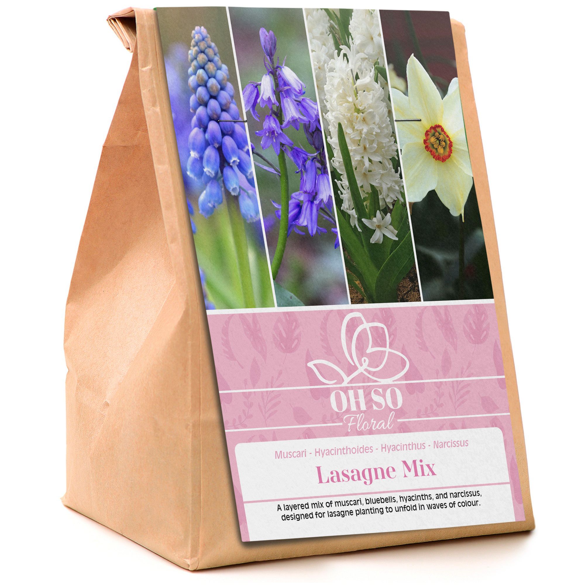 Garden Spring Flowering Bulbs