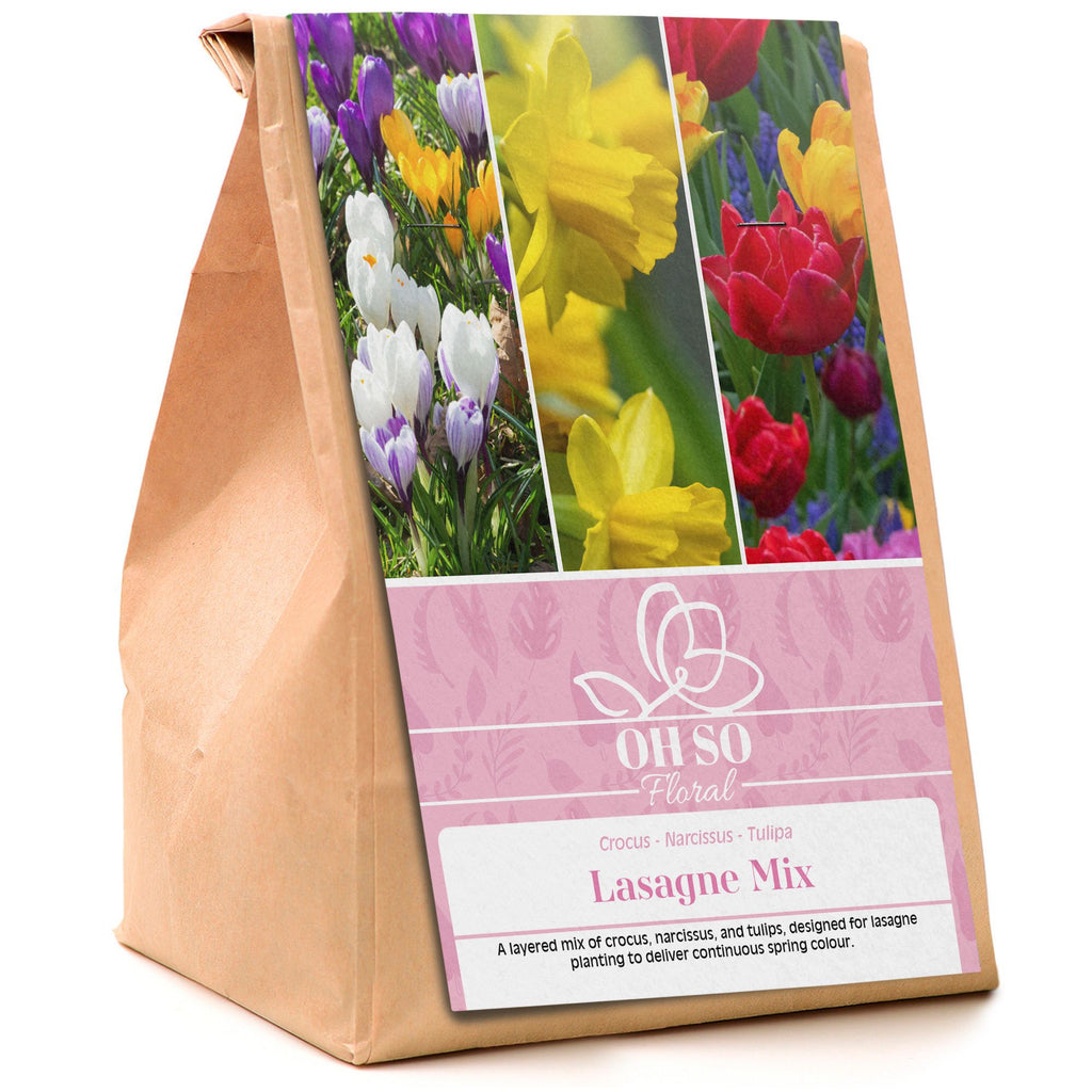 Garden Spring Flowering Bulbs