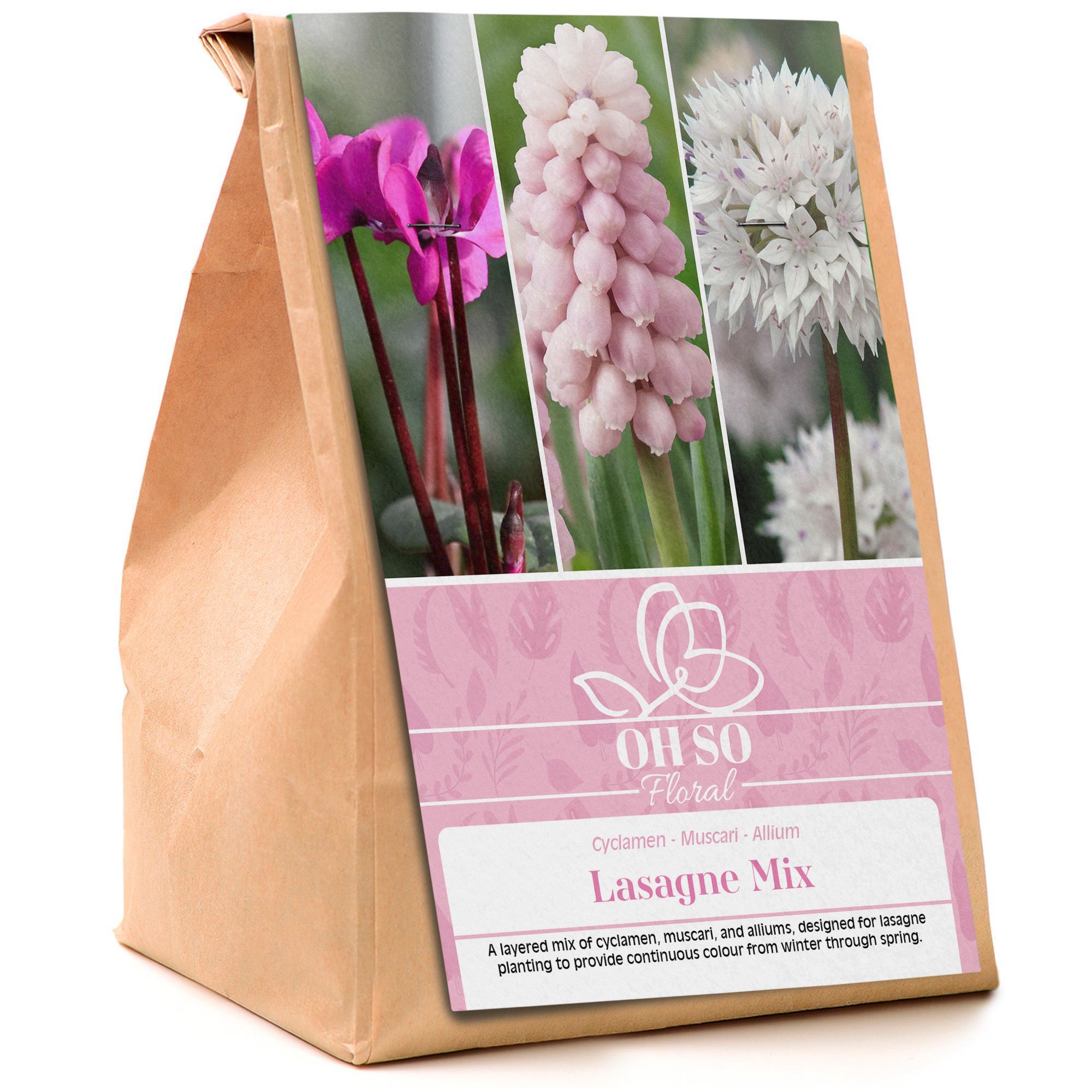 Garden Spring Flowering Bulbs