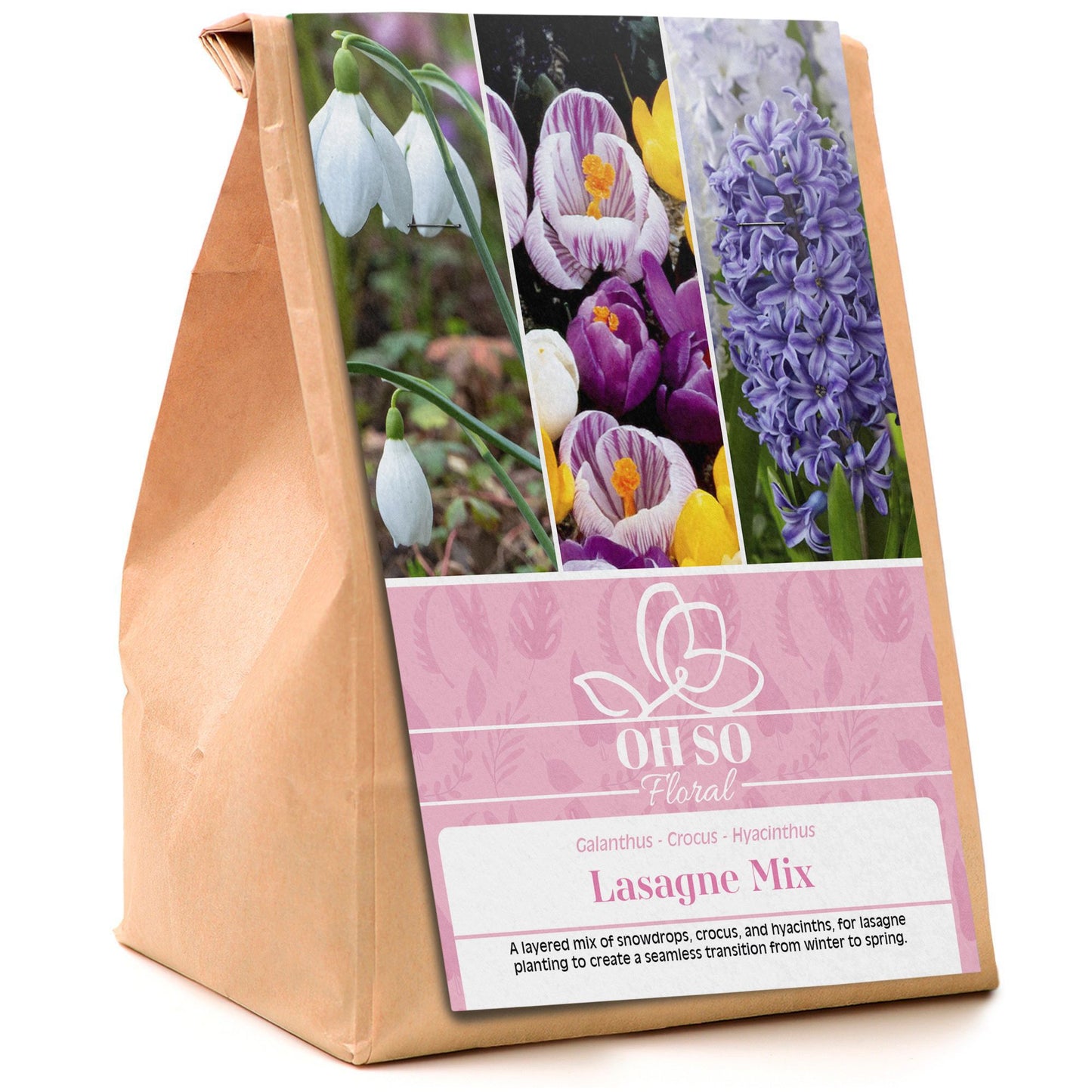 Garden Spring Flowering Bulbs