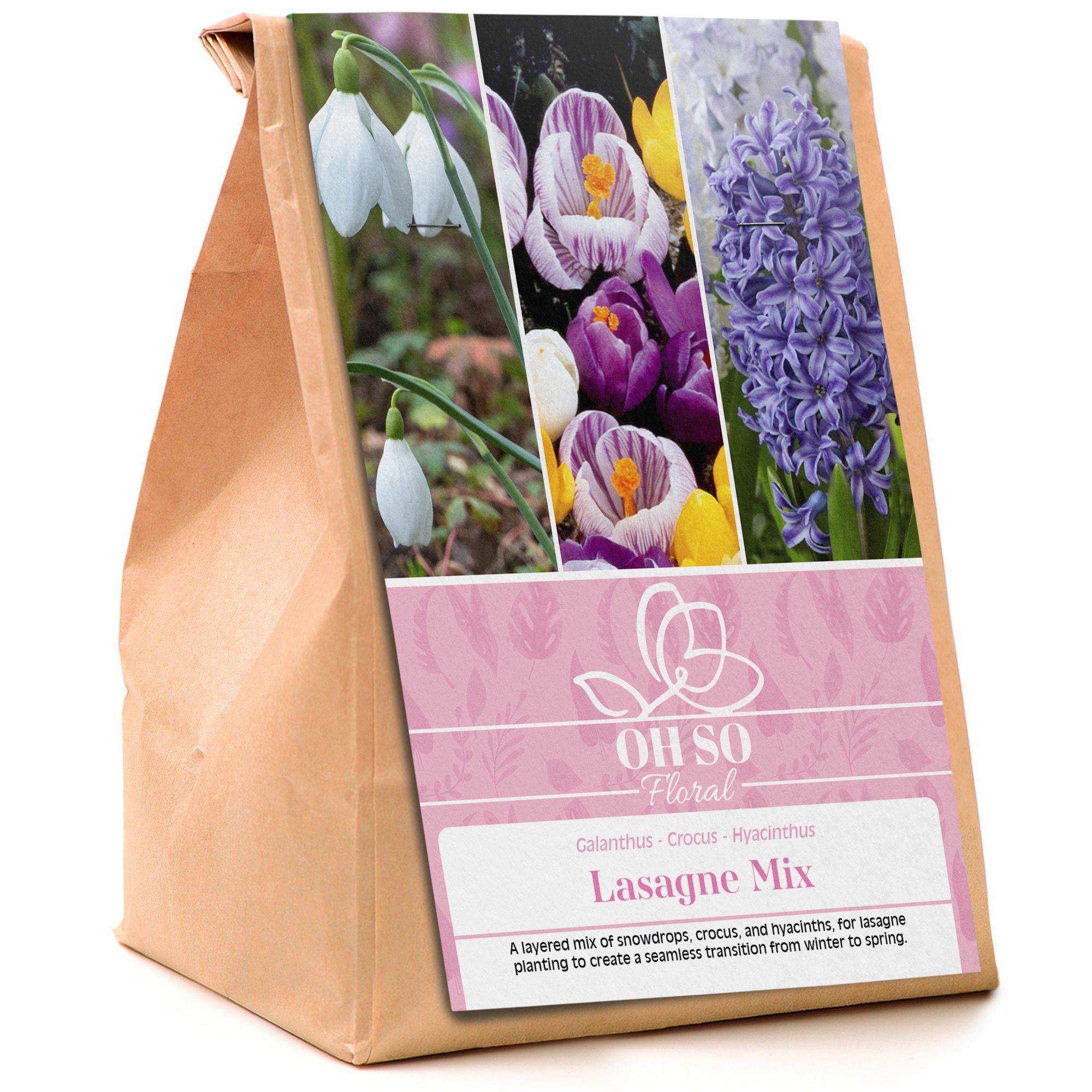 Garden Spring Flowering Bulbs