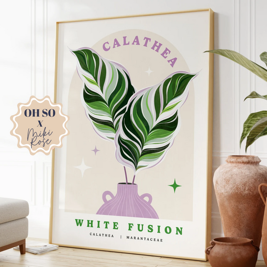 Calathea White Fusion Print