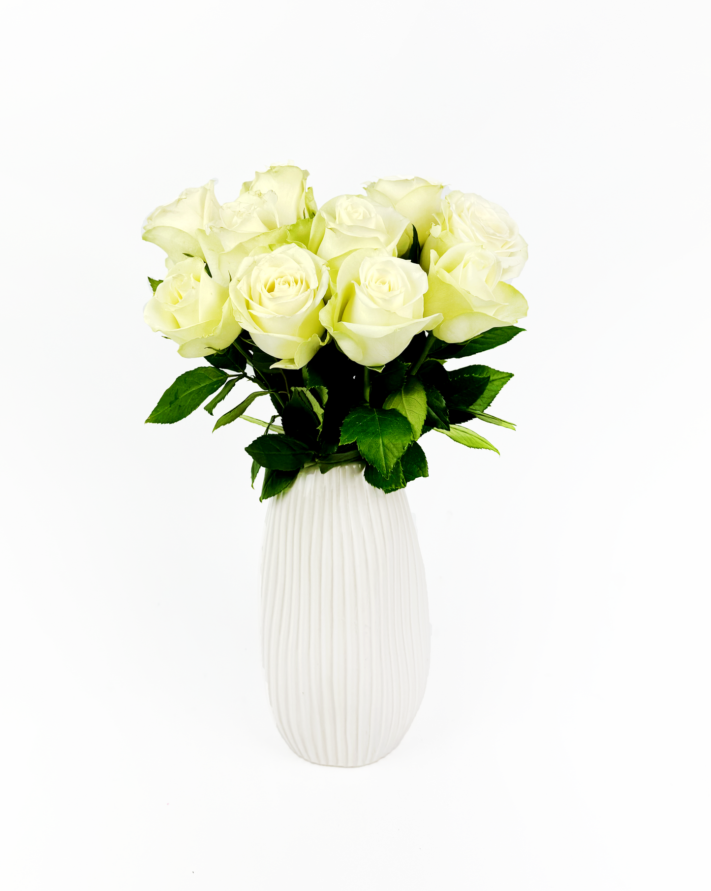 10 White roses