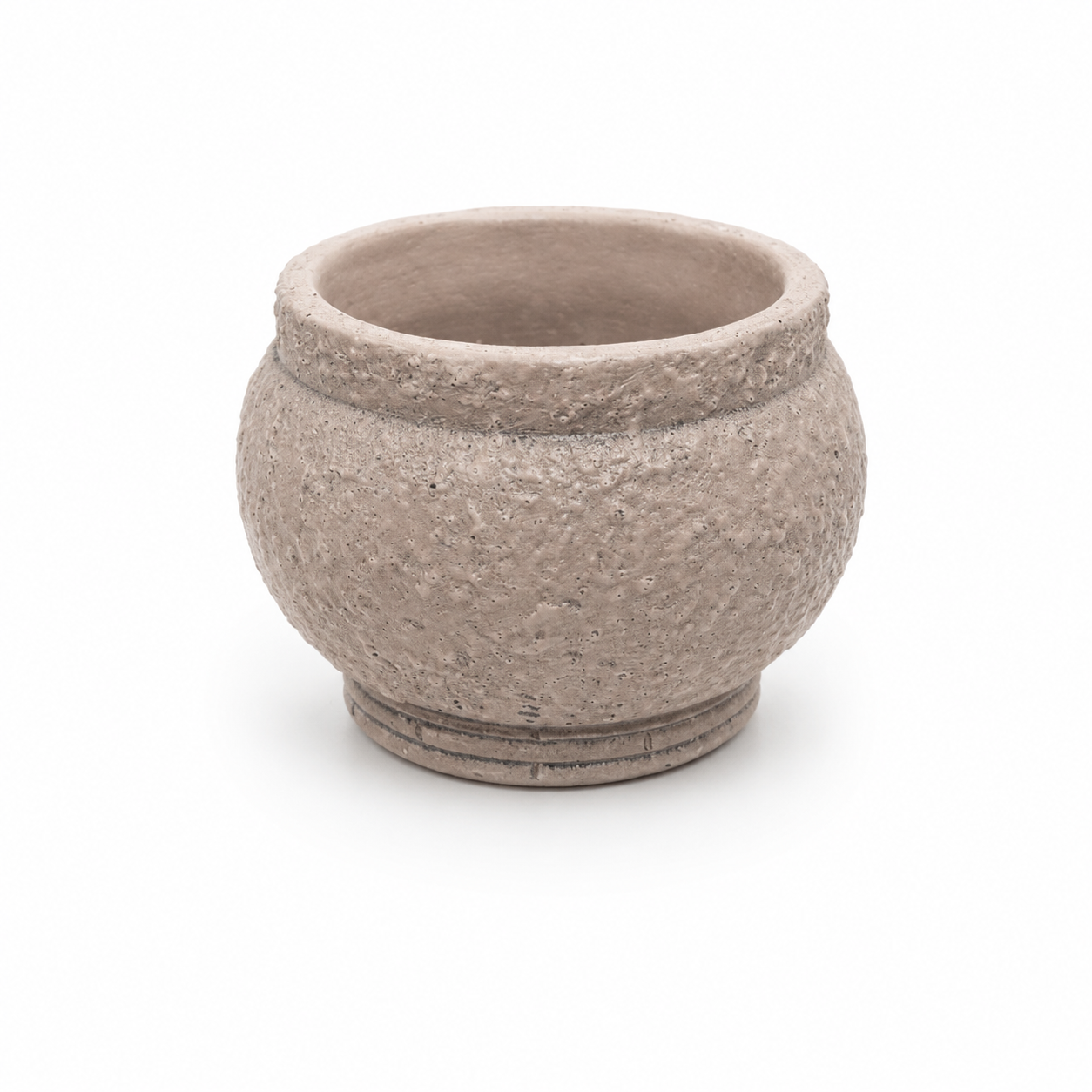 Desk Buddy Plant & Pot Bundle