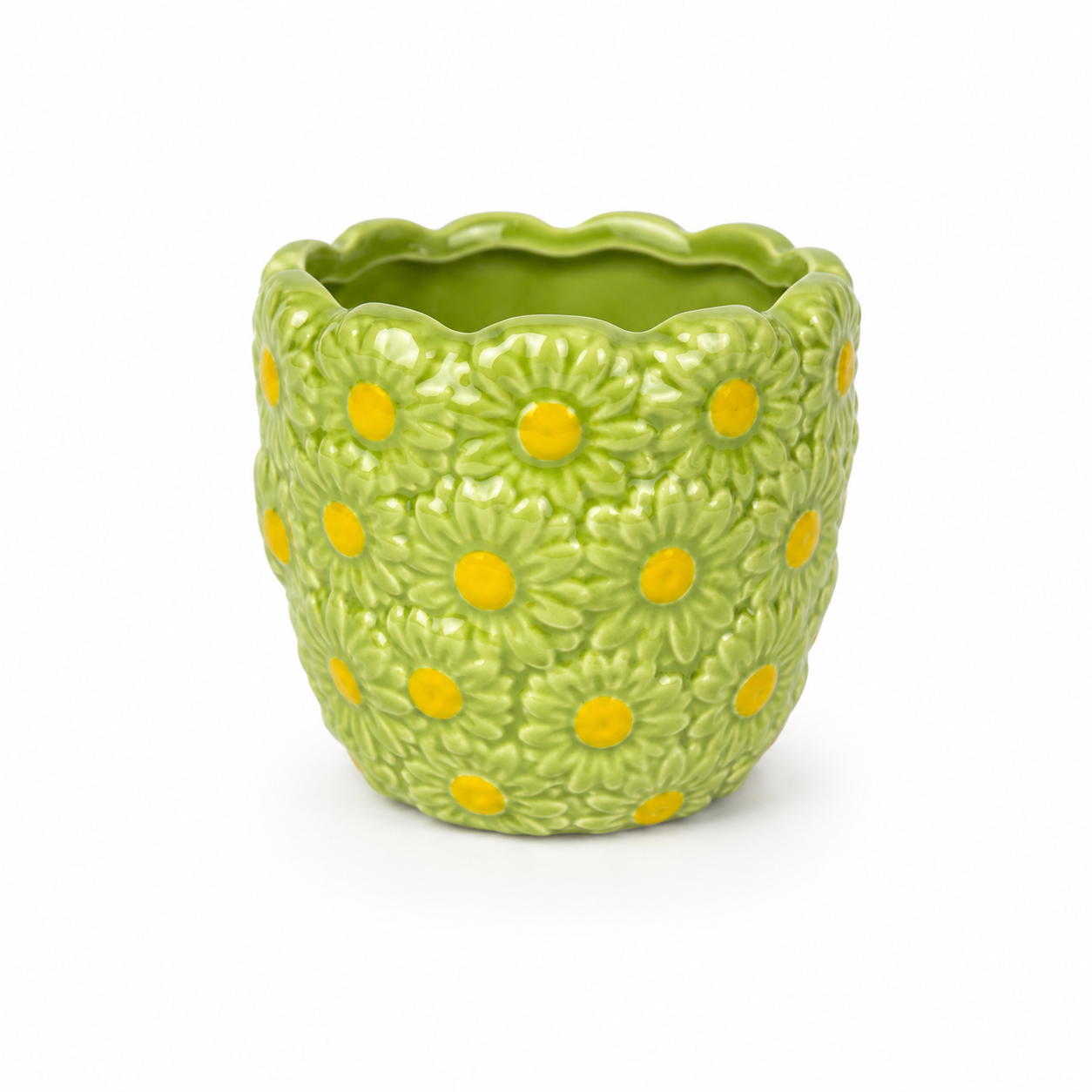 Desk Buddy Plant & Pot Bundle