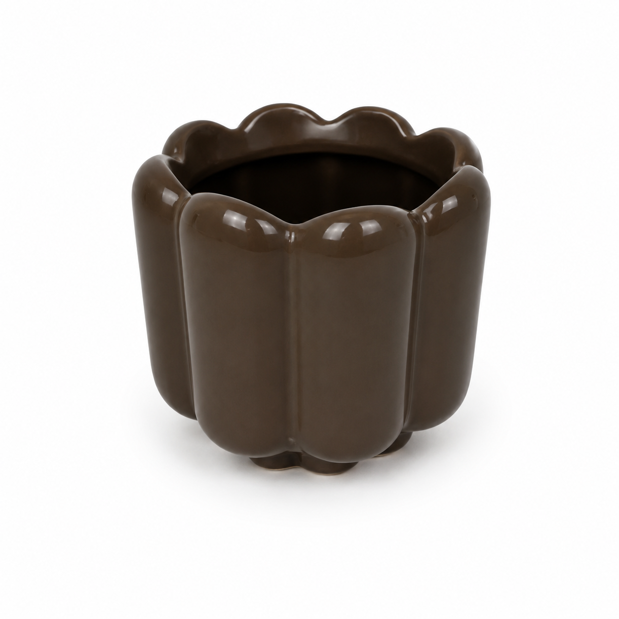 Desk Buddy Plant & Pot Bundle