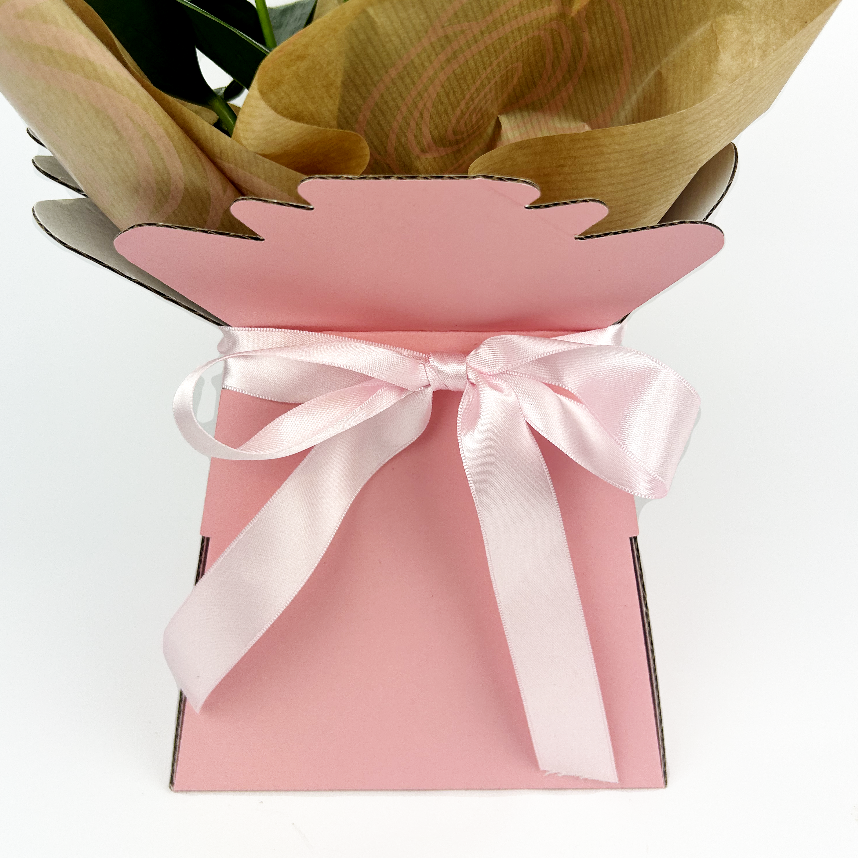 12cm Plant Gift Box