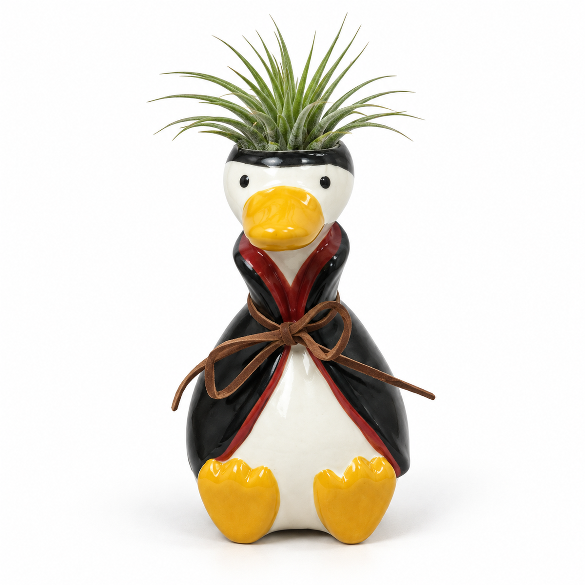 Vampire Halloween Goose Tillandsia on a white studio background