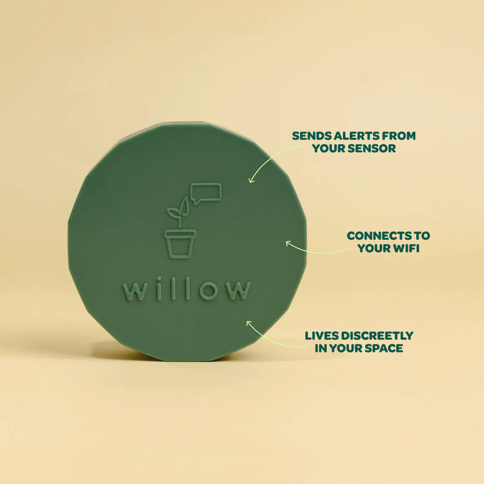 Willow Plant Parent- 3 Sensors & 1 Hub