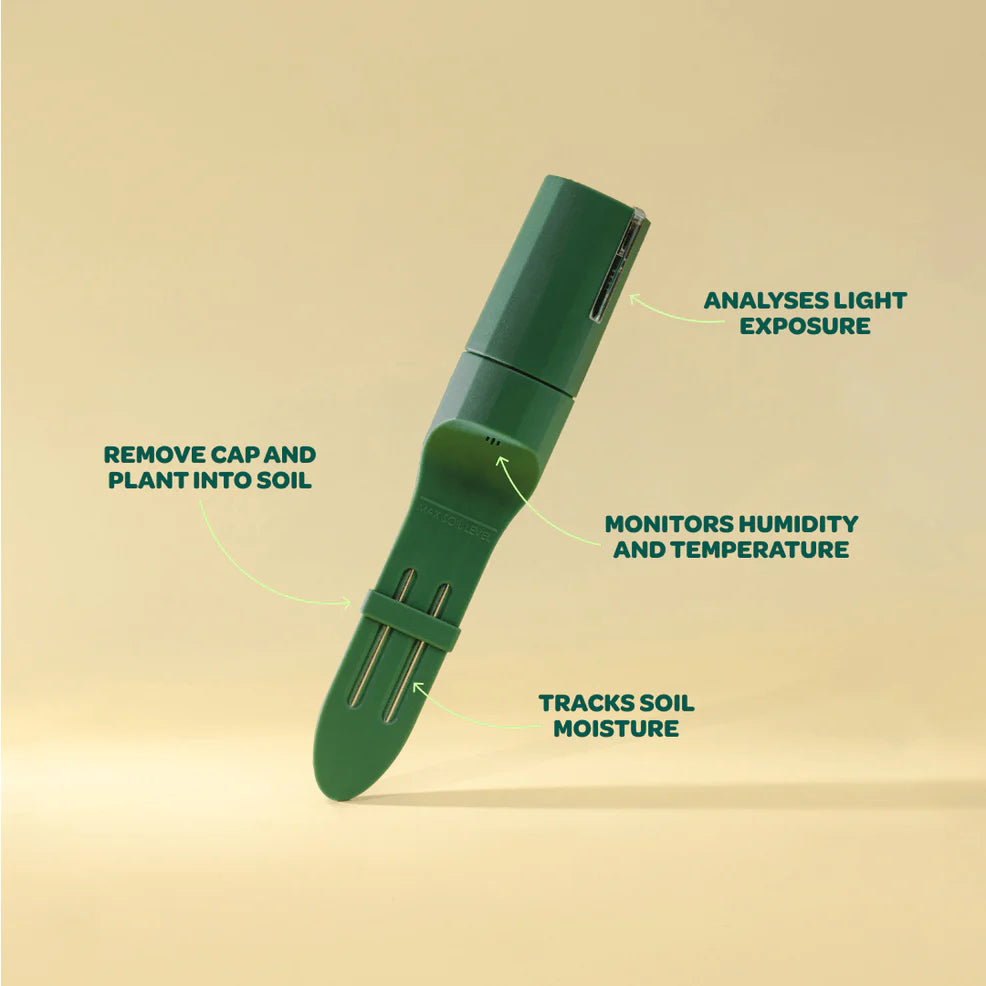 Willow Starter Pack- 1 sensor & Hub