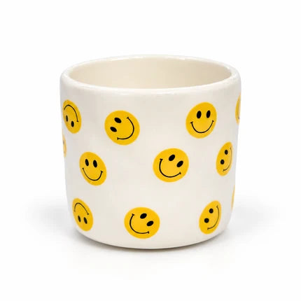 Desk Buddy Plant & Pot Bundle