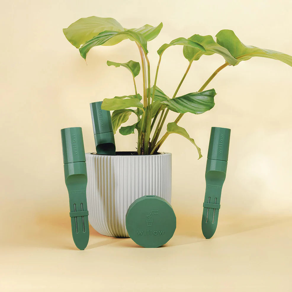 Willow Plant Parent- 3 Sensors & 1 Hub